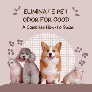 Eliminate Pet Odor for Good Guide