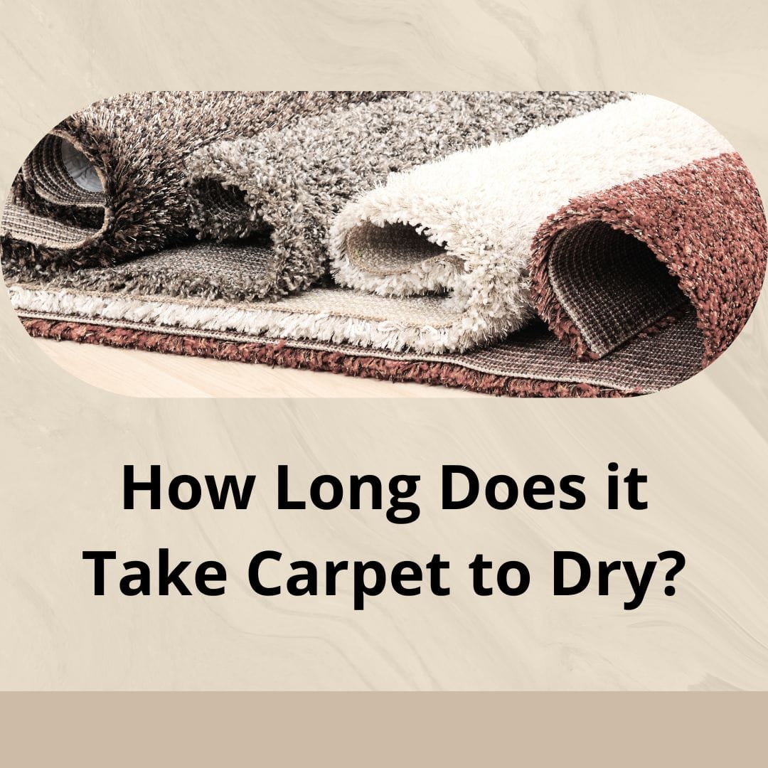 How Long Does it Take Carpet to Dry?