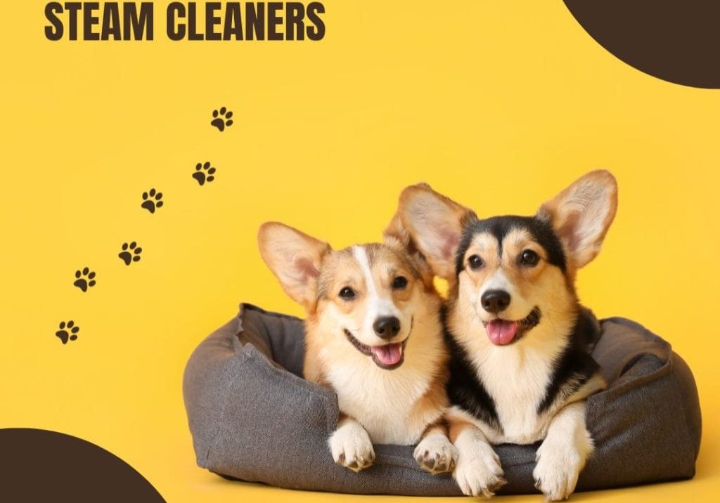 Right Pet-Friendly Steam Cleaners